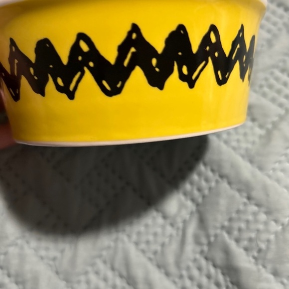 CHARLIE BROWN SNOOPY Peanuts Gang 5” Round Cartoon Print Pet Bowl Dish Dog Cat - Picture 2 of 3